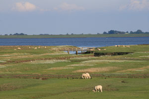 Landschaftsfoto